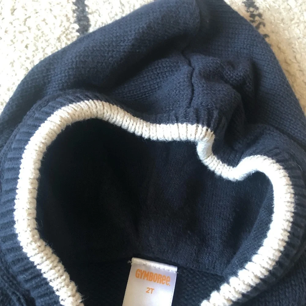 Gymboree hooded sweater